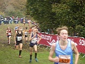 DSC06500