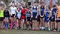 SWL BSE 19 Feb (KF)