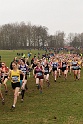 British Inter counties 2017 - 19